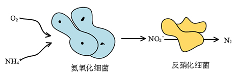 未標(biāo)題-7.jpg